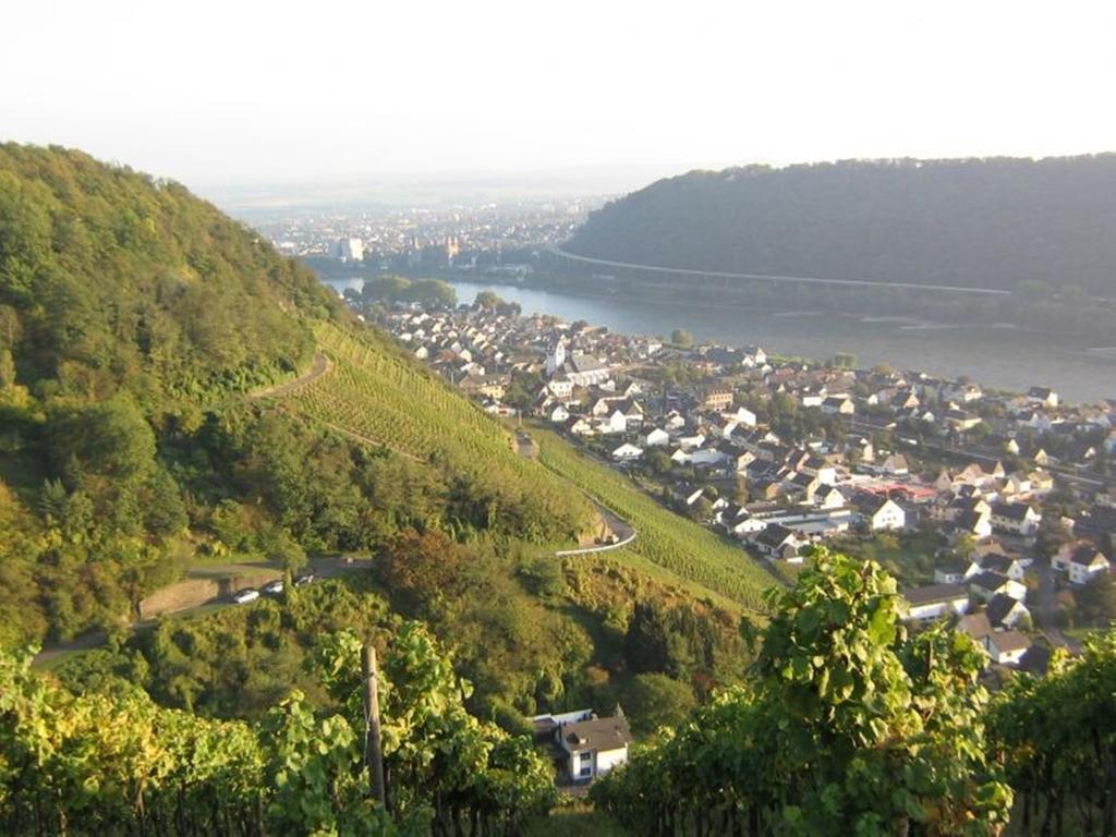Hotel Am Martinsberg Andernach Eksteriør billede